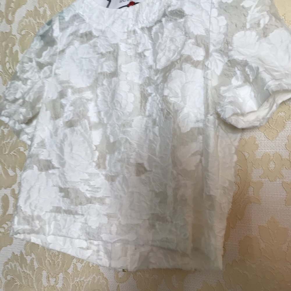 Beautiful lace top with zipper back - size 6 - Picture 4 of 6